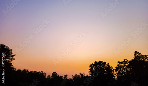 sunset in the forest