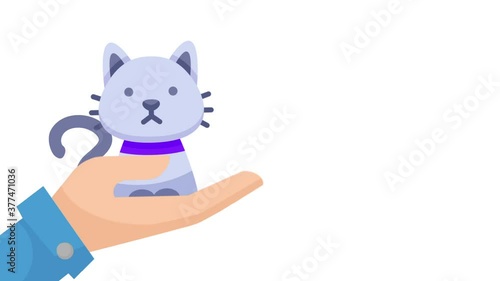 cat, pet, hand