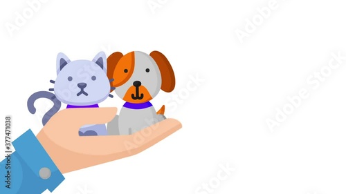puppy and kitten in hand