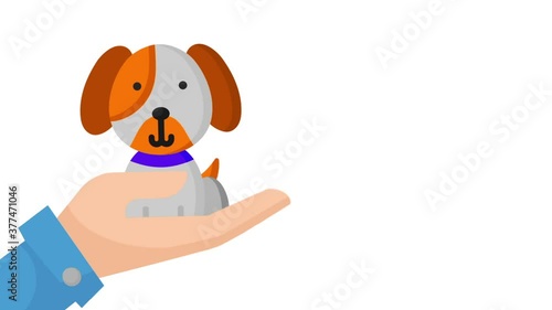 puppy, pet, hand