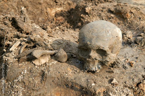 Human remains at an archaeological site of a World War II mass grave