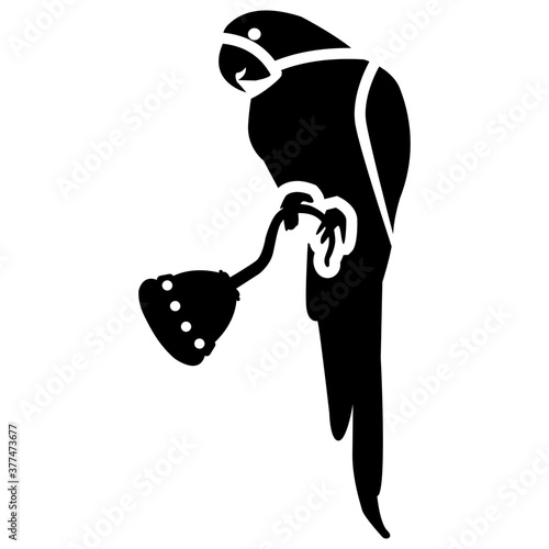 Pirate Parrot