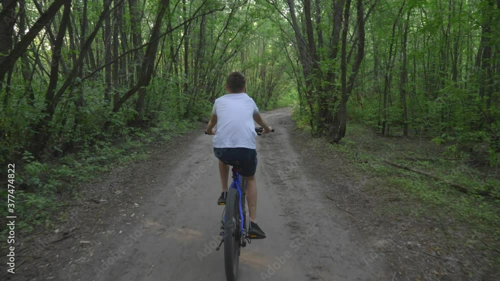 A happy child rides a bicycle in a park in the open air. Cycling on a path in the woods. Active rest of the child. Healthy lifestyle, children's sports. A happy child rides a bicycle in a park in the open air. Cycling on a path in the woods. Active rest of the child. Healthy lifestyle, children's sports.