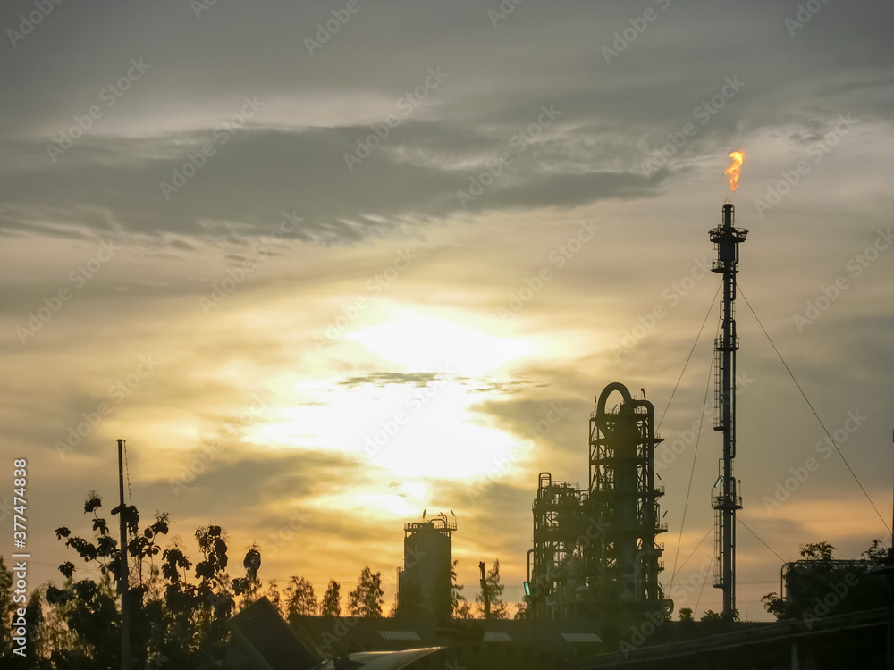 plant petrochemical An evening with the setting sun plant petrochemical An evening with the setting sun