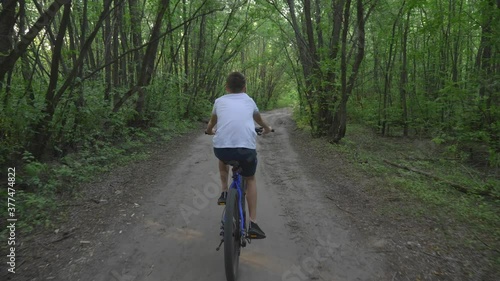 Wallpaper Mural A happy child rides a bicycle in a park in the open air. Cycling on a path in the woods. Active rest of the child. Healthy lifestyle, children's sports. Torontodigital.ca