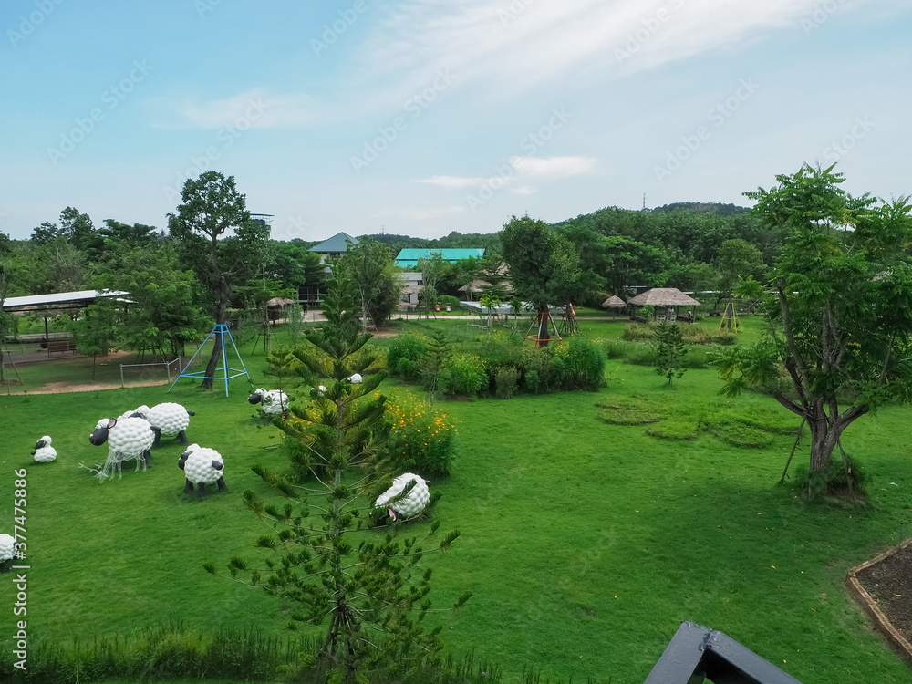 Obraz premium A park with bright green nature