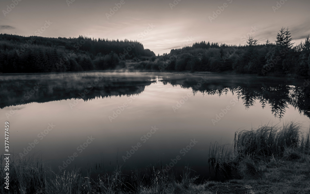 Ladymuir Reservoir, Locherwood and Lady Muir Woodland,  Renfrewshire, Scotland, UK B&W