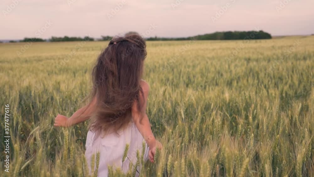 Happy little girl runs through a green wheat field with outstretched arms. A little girl runs towards her dream. Child have fun in the park. Happy child in the park. A chidhood dream. Wheat field Happy little girl runs through a green wheat field with outstretched arms. A little girl runs towards her dream. Child have fun in the park. Happy child in the park. A chidhood dream. Wheat field