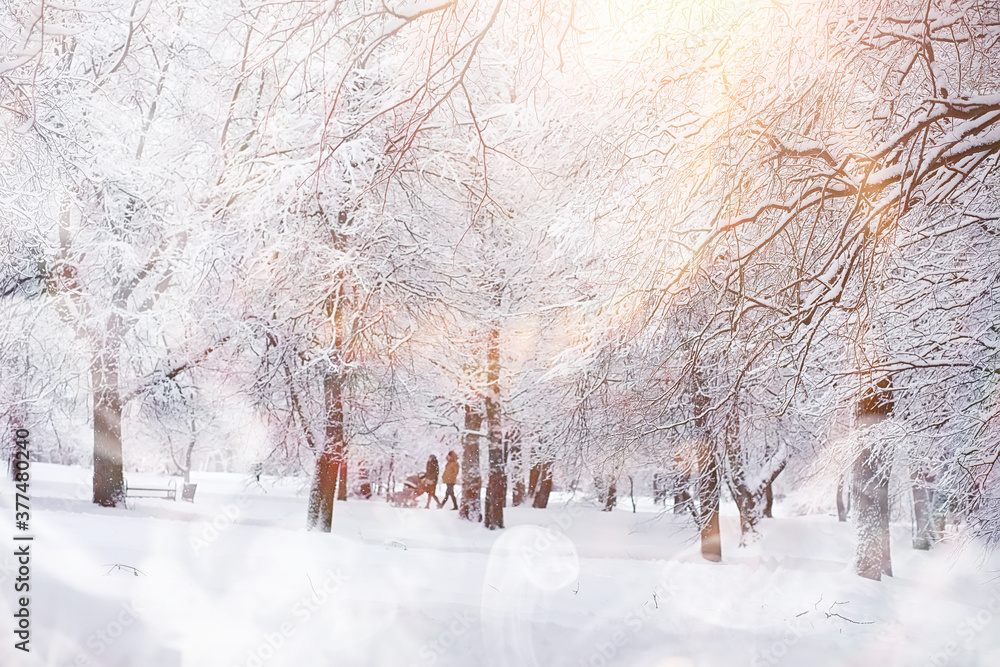 Fototapeta premium Winter landscape. Forest under the snow. Winter in the park.