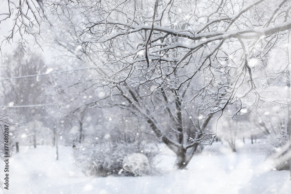 Winter landscape. Forest under the snow. Winter in the park. Winter landscape. Forest under the snow. Winter in the park.
