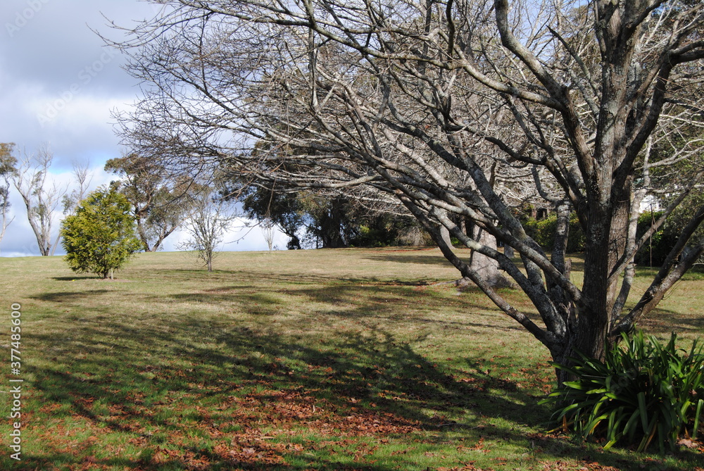 The golf course fields without people in Leura, Australia The golf course fields without people in Leura, Australia