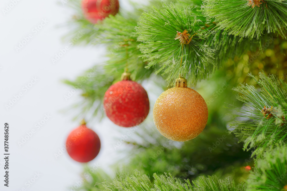 christmas decoration on fir branch