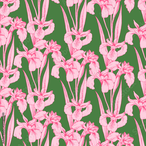 Seamless vector pattern with pink iris floewrs on a deep green background. Stock line vector illustration. T-shirt design, textiles, fabrics, covers, wallpapers, print, wrapping gift
