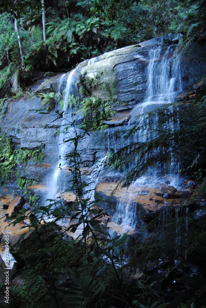 Fototapeta premium Hiking hear waterfalls in Wentworth Falls in Blue Mountains national park, Australia