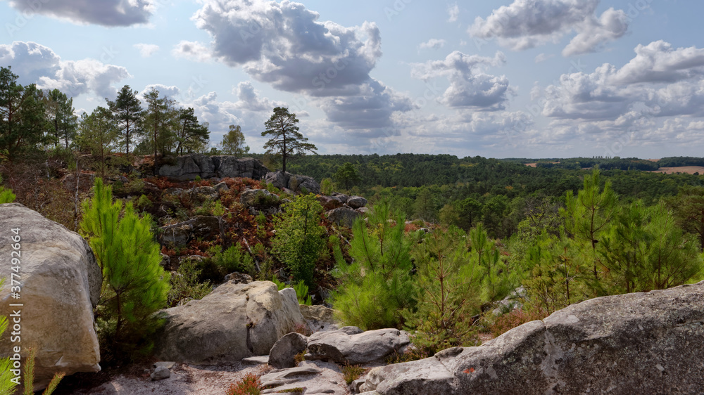 Panoramic view at Cailleau rock in the Fontainebleau forest