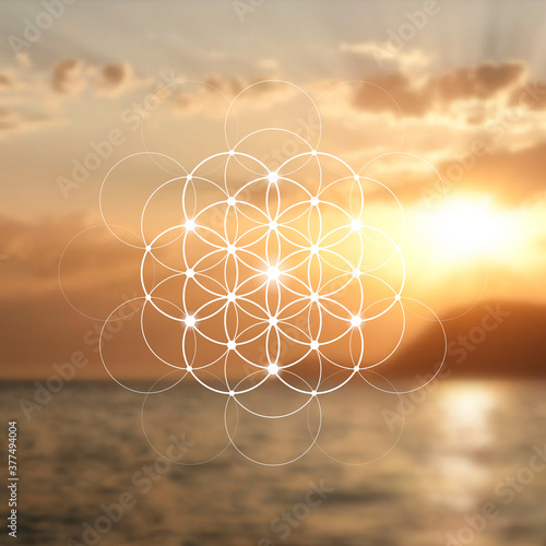 Flower of life sacred geometry illustration with intelocking circles and light dots in front of photographic background. Hipster tree of life sci fi art