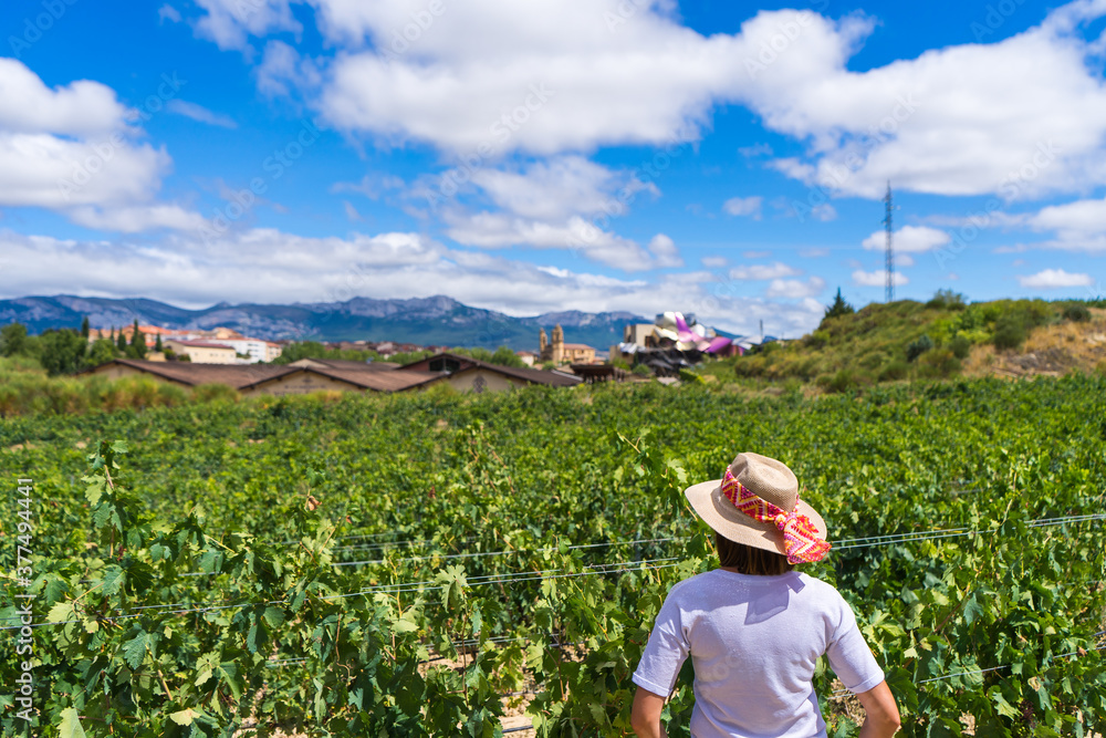 mujer mirando paisaje de viñedos en elciego, rioja alavesa