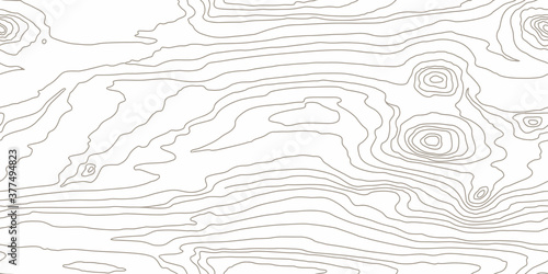 Seamless wooden pattern. Wood grain texture. Dense lines. White background. Vector illustration