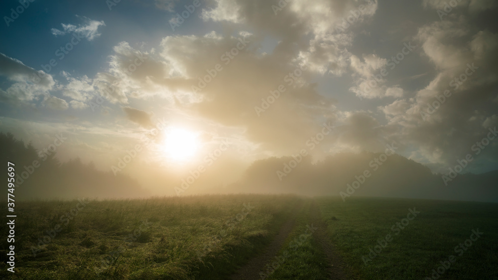 Germany, Black Forest Schwarzwald, Mystical foggy morning atmosphere over green pastures and path after sunrise Germany, Black Forest Schwarzwald, Mystical foggy morning atmosphere over green pastures and path after sunrise