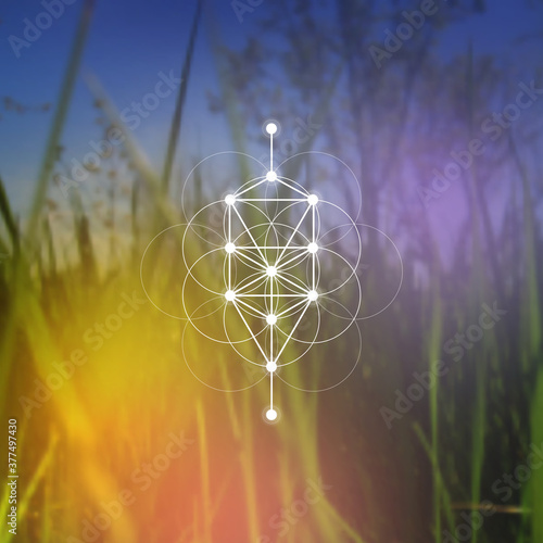 Flower of life sacred geometry illustration with intelocking circles and light dots in front of photographic background. Hipster tree of life sci fi art