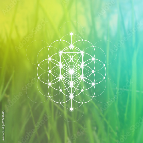 Flower of life sacred geometry illustration with intelocking circles and light dots in front of photographic background. Hipster tree of life sci fi art