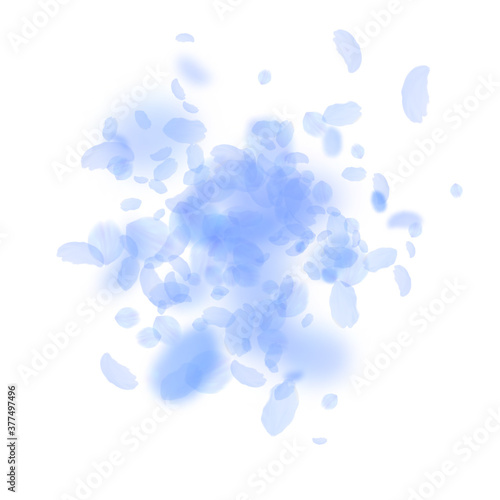 Dark blue flower petals falling down. Creative rom