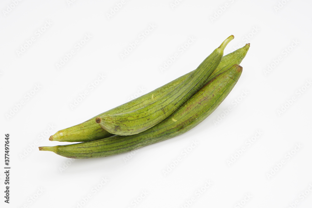 Ridge gourd vegetable isolated on white background Ridge gourd vegetable isolated on white background