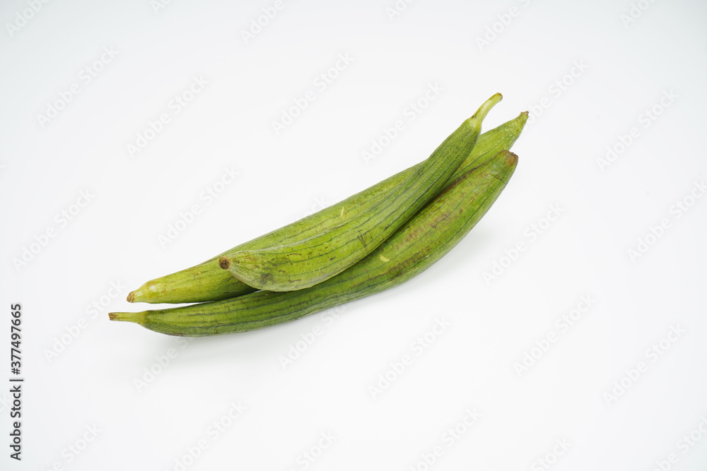 Ridge gourd vegetable isolated on white background Ridge gourd vegetable isolated on white background
