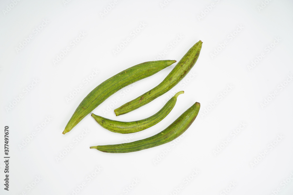 Luffa fruit isolated on white background Luffa fruit isolated on white background