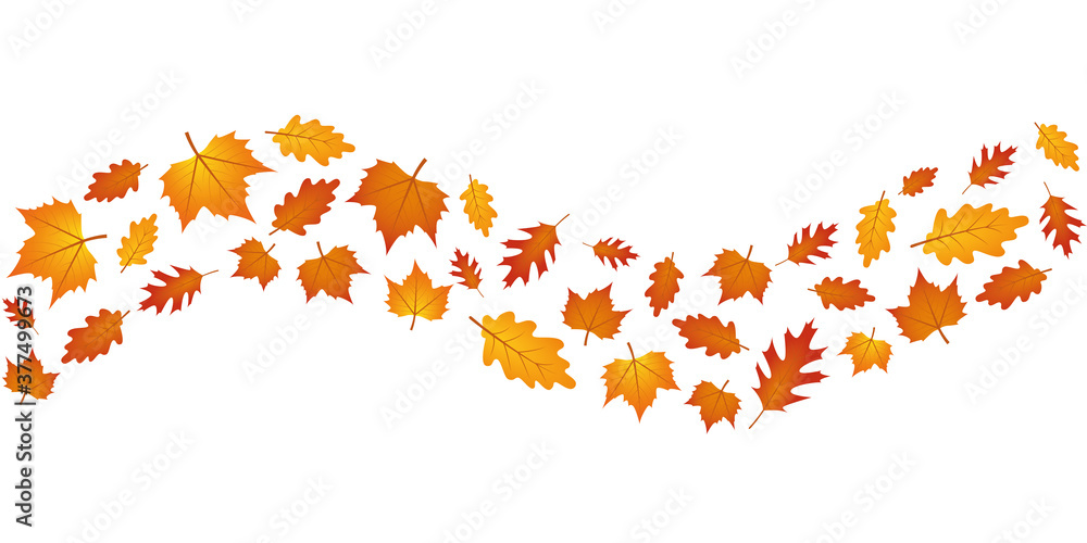 set of autumn leaves in the wind isolated on white background vector illustration EPS10 set of autumn leaves in the wind isolated on white background vector illustration EPS10
