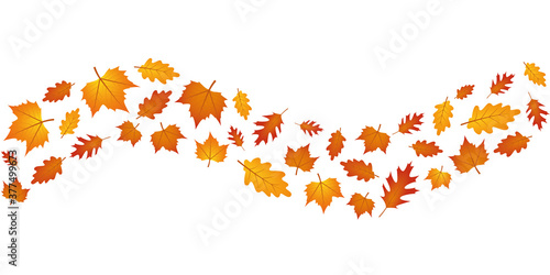 set of autumn leaves in the wind isolated on white background vector illustration EPS10