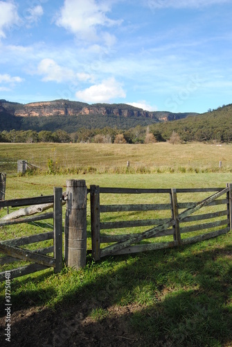 The landscape view of the fields in the Blue Mountains on the sunny day