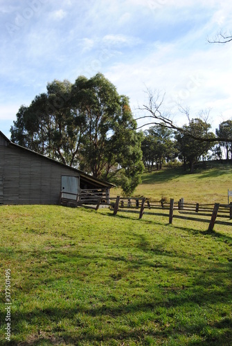 The landscape view of the fields in the Blue Mountains on the sunny day