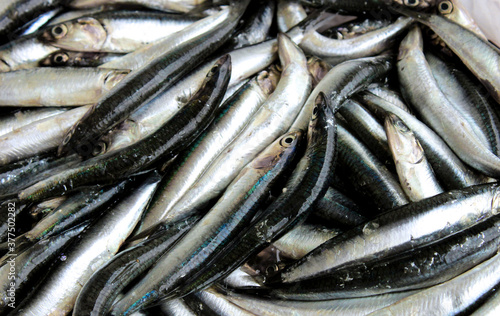 fresh anchovy fishes from Black sea