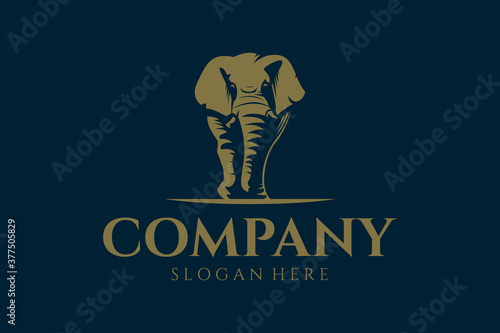 Photography African safari elephant logo - vector illustration, emblem design on dark backgr