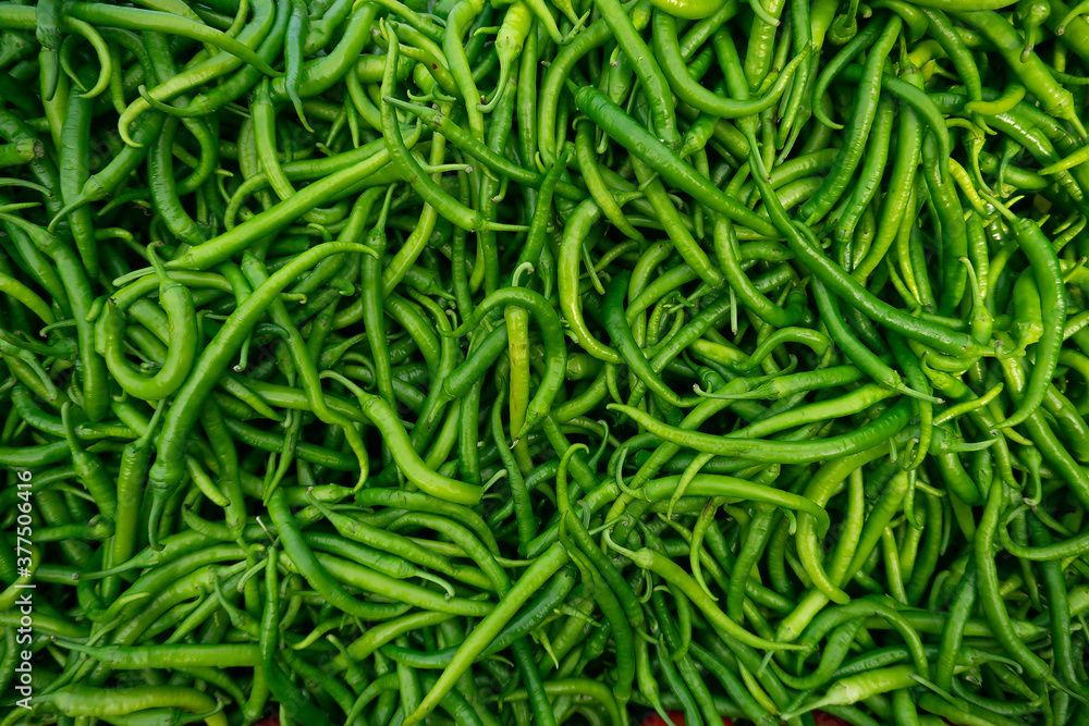Fresh green chili peppers in the basket for sale on street market. a large amount of hot chili pepper pattern for the background. Fresh green chili peppers in the basket for sale on street market. a large amount of hot chili pepper pattern for the background.