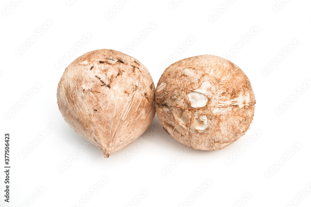Burned coconut isolated on white background. Burned coconut isolated on white background.