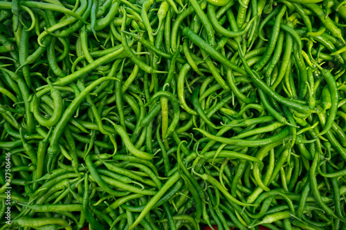 Fresh green chili peppers in the basket for sale on street market. a large amount of hot chili pepper pattern for the background.