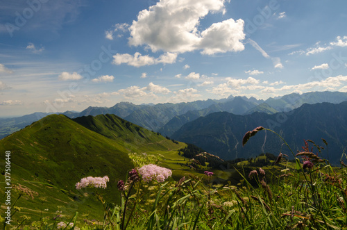 Gebirgspanorama in den Alpen mit saftihen Wiesen und bunten Blumen