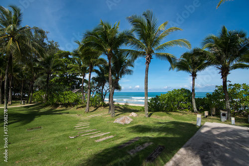 Tropical beach with palm trees © T i M e L a P s E