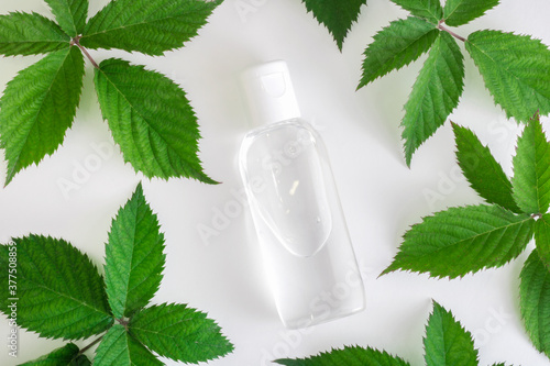 Transparent container for liquid, green leaves, top view. Micellar water bottle and makeup remover, natural moisturizing lotion mockup. Organic cosmetics poster concept. Copy space.