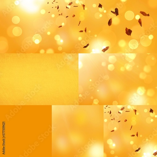 Autumn collage with differe...