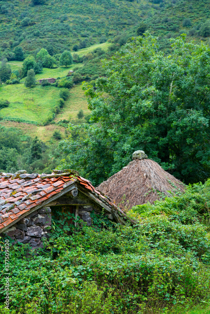 Landscape in the Braña de Tuiza in the council of Teverga, in the Las Ubiñas-La Mesa Natural Park. Asturias. Spain.Europe