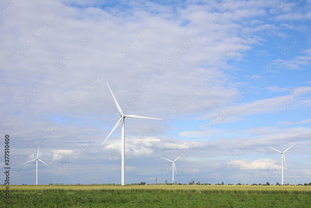 Beautiful view of field with wind turbines. Alternative energy source Beautiful view of field with wind turbines. Alternative energy source