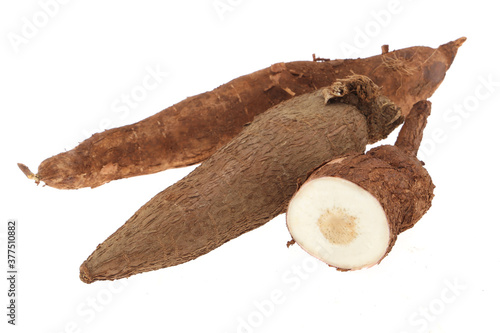 Fresh Tapioca roots or Cassava roots isolated on a white background © Rahul