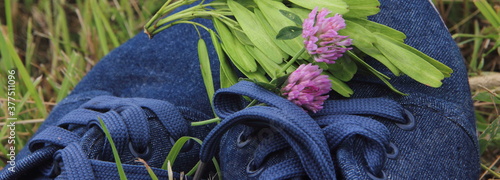 denim sneakers on green grass background photo