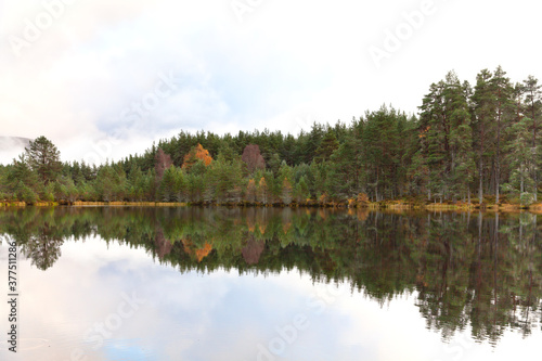 Uath Lochan, Kincraig, Scotland, UK