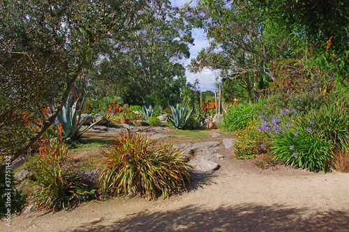 Visite du jardin botanique de Roscoff photo