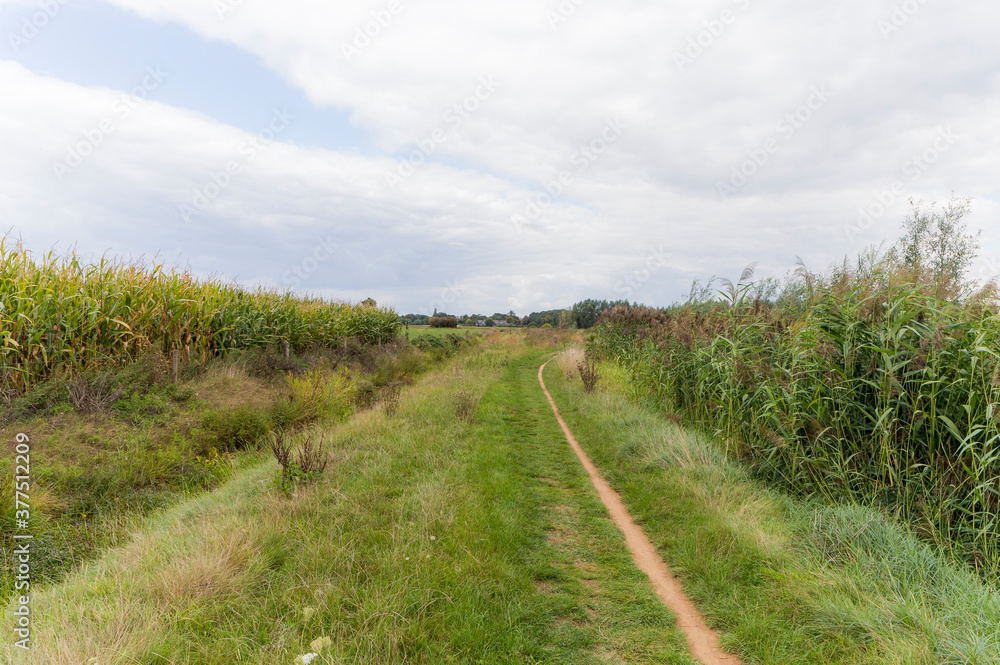 Nature reserve De Pol near Terborg, The Netherlands