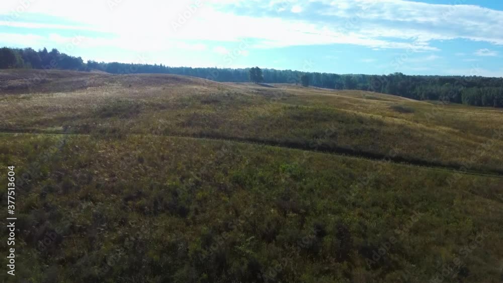 Aerial video flying over grass field during sunset in autumn time Aerial video flying over grass field during sunset in autumn time